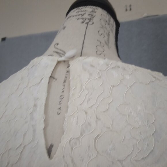 NWT Caroline Rose | Lace Round Neck 3/4 Sleeve Shift Dress Ivory | Size S - Picture 9 of 13